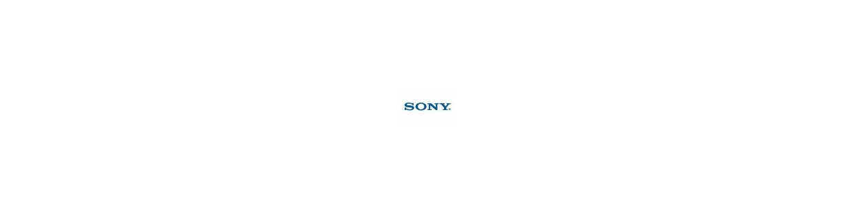 Cablu lcd pentru laptop Sony Vaio - Ieftin si Strong