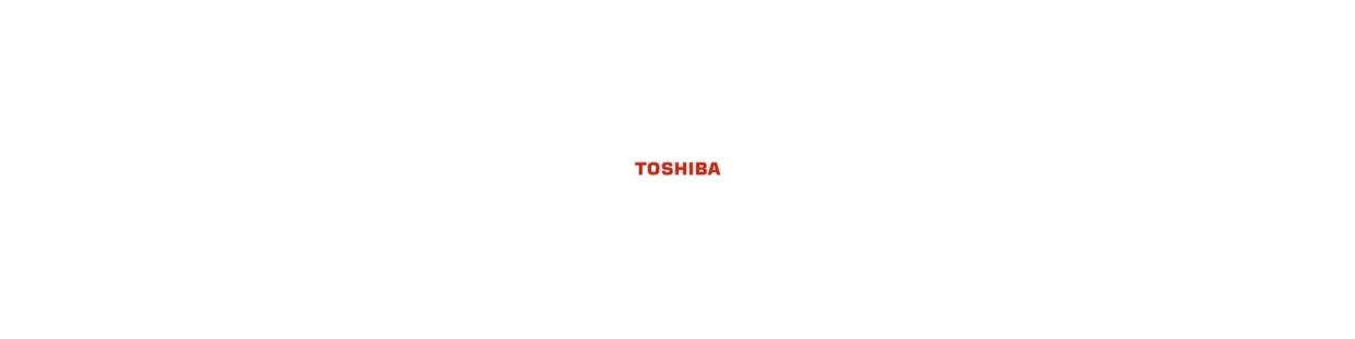 Invertoare Toshiba